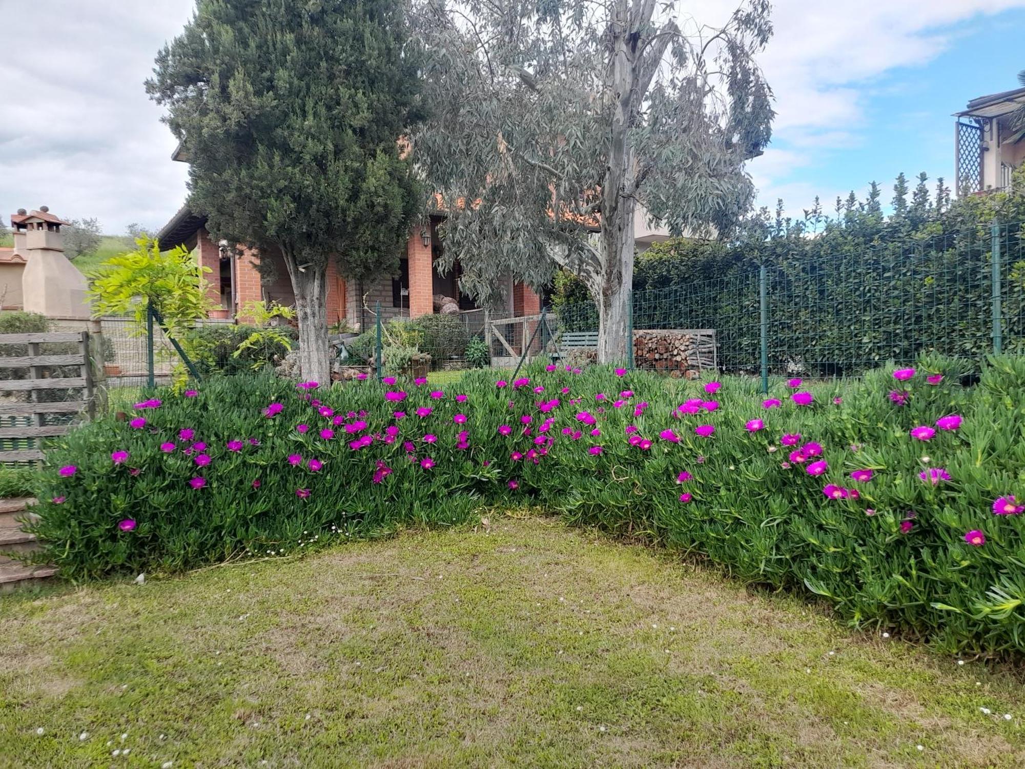 Agriturismo Santa Adriana Volterra Zewnętrze zdjęcie